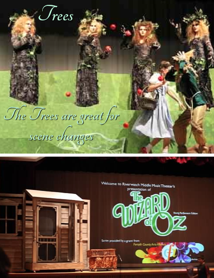 Screen Shot 2018-11-17 at 12.00.06 PM